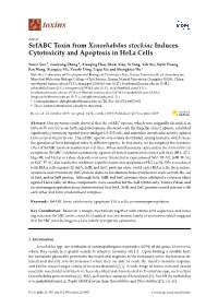 Srfabc Toxin from Xenorhabdus Stockiae Induces Cytotoxicity and Apoptosis in Hela Cells