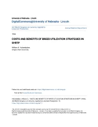 Costs and Benefits of Breed Utilization Strategies in Sheep