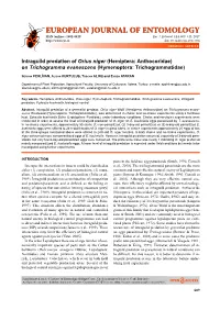 Intraguild Predation of Orius Niger (Hemiptera: Anthocoridae) on Trichogramma Evanescens (Hymenoptera: Trichogrammatidae)