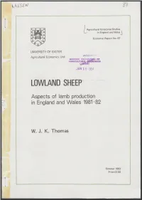 Lowland Sheep