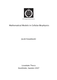 Mathematical Models in Cellular Biophysics