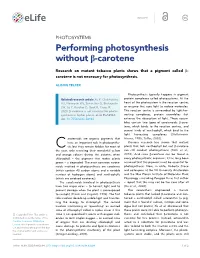 Performing Photosynthesis Without B-Carotene