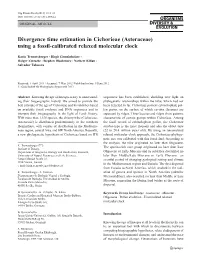 Divergence Time Estimation in Cichorieae (Asteraceae) Using a Fossil-Calibrated Relaxed Molecular Clock