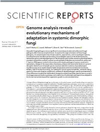 Genome Analysis Reveals Evolutionary Mechanisms of Adaptation In