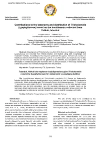 Lyophyllaceae) Based on the Basidiomata Collected from Halkalı, İstanbul