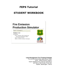 The FEPS V 1.1 Tutorial