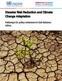 Disaster Risk Reduction and Climate Change Adaptation
