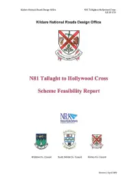 N81 Tallaght to Hollywood Cross Scheme Feasibility Report