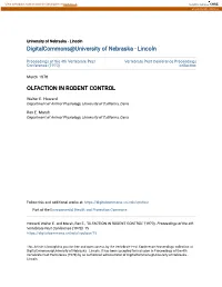 Olfaction in Rodent Control
