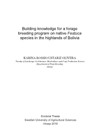 Building Knowledge for a Forage Breeding Program on Native Festuca Species in the Highlands of Bolivia