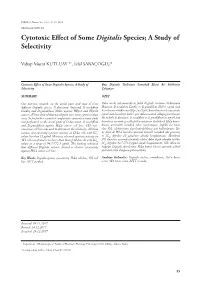 Cytotoxic Effect of Some Digitalis Species; a Study of Selectivity