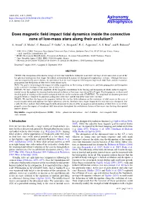 Does Magnetic Field Impact Tidal Dynamics Inside the Convective