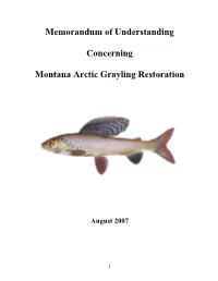 Memorandum of Understanding Concerning Montana Arctic