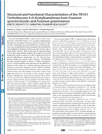 Structural and Functional Characterization of The