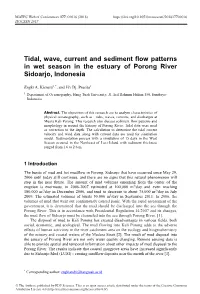 Tidal, Wave, Current and Sediment Flow Patterns in Wet Season in the Estuary of Porong River Sidoarjo, Indonesia