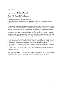 Appendix 6: Energy Sector Detailed Report What This Area of Work
