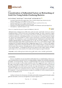 Consideration of Influential Factors on Bioleaching of Gold Ore Using Iodide-Oxidizing Bacteria