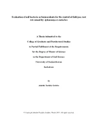 Evaluation of Soil Bacteria As Bioinoculants for the Control of Field Pea Root Rot Caused by Aphanomyces Euteiches
