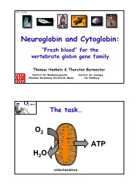 Neuroglobin and Cytoglobin: O ATP