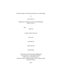 Duke University Dissertation Template