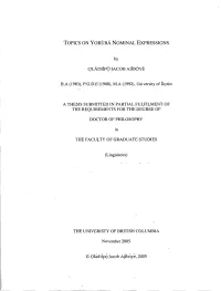 Topics on Yoruba Nominal Expressions