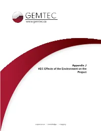 Appendix J VEC Effects of the Environment on the Project