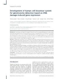 Development of Human Cell Biosensor System for Genotoxicity Detection Based on DNA Damage-Induced Gene Expression