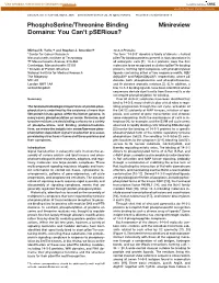 Phosphoserine/Threonine Binding Minireview Domains: You Can’T Pserious?