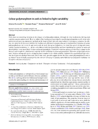Colour Polymorphism in Owls Is Linked to Light Variability