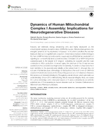 Dynamics of Human Mitochondrial Complex I Assembly: Implications for Neurodegenerative Diseases