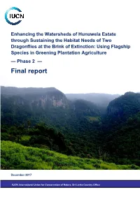 Final Report