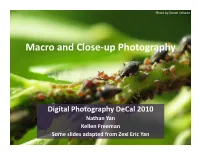 Macro and Close-Up Photography