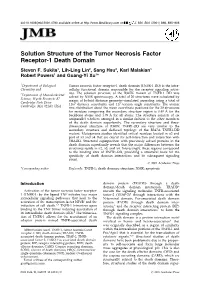 The Solution Structure of the Tumor Necrosis Factor Receptor-1 Death
