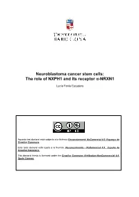 Neuroblastoma Cancer Stem Cells: the Role of NXPH1 and Its Receptor Α-NRXN1