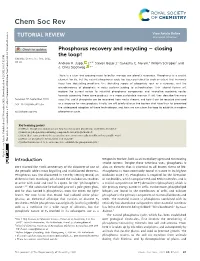 Phosphorus Recovery and Recycling &#X2013; Closing the Loop