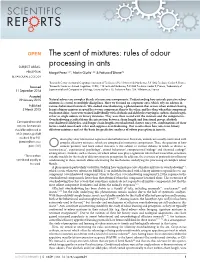 Rules of Odour Processing in Ants