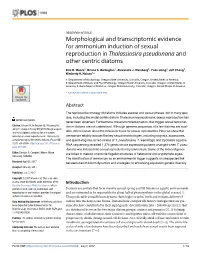 Morphological and Transcriptomic Evidence for Ammonium Induction of Sexual Reproduction in Thalassiosira Pseudonana and Other Centric Diatoms