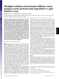 Ultrahigh-Resolution Microstructural Diffusion Tensor Imaging Reveals Perforant Path Degradation in Aged Humans in Vivo