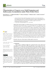 Characteristics of Fragaria Vesca Yield Parameters and Anthocyanin Accumulation Under Water Deﬁcit Stress
