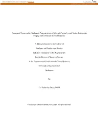 Computed Tomographic Studies of Characteristics of Selected Canine Lymph Nodes Relevant to Staging and Treatment of Solid Tumours