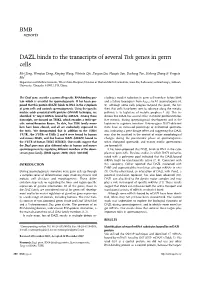 DAZL Binds to the Transcripts of Several Tssk Genes in Germ Cells