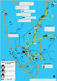How to Move Around in Kochi? 20’ Did You Know? of All Trips in Kochi Are Made Help Latysheva Who Just Landed in 49% Using Public Transport in 2017