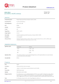 Anti-SOAT2 / ACAT2 Antibody (ARG57814)