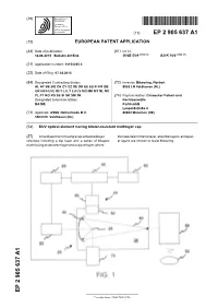 EUV Optical Element Having Blister-Resistant Multilayer Cap