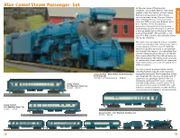 Blue Comet Steam Passenger Set at the Very Apex of the Roaring