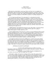 Chp 26 Protistnotes