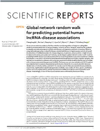 Global Network Random Walk for Predicting Potential Human Lncrna