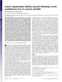 Latent Regeneration Abilities Persist Following Recent Evolutionary Loss in Asexual Annelids