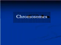 Chromosome.Pdf