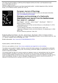Phylogeny and Morphology of a Chattonella (Raphidophyceae) Species from the Mediterranean Sea: What Is C